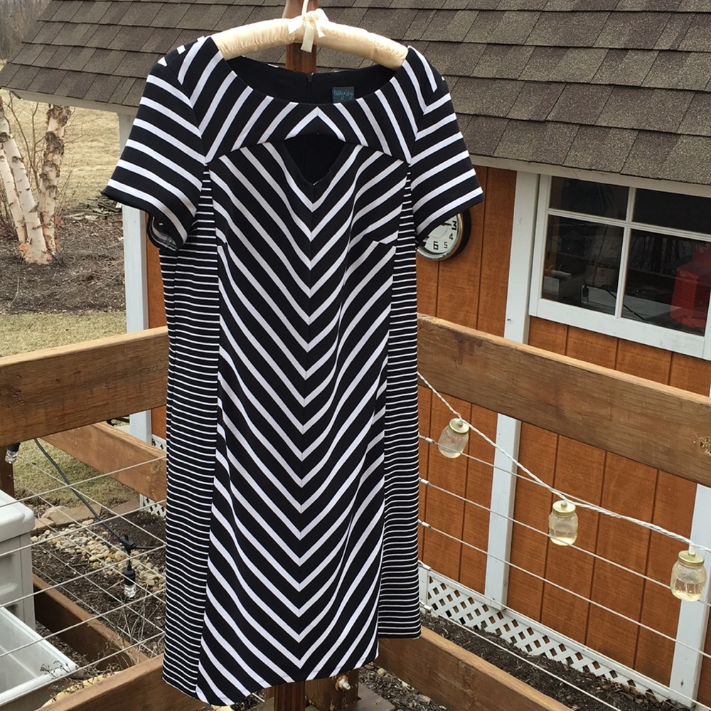 Gabby Skye Dress